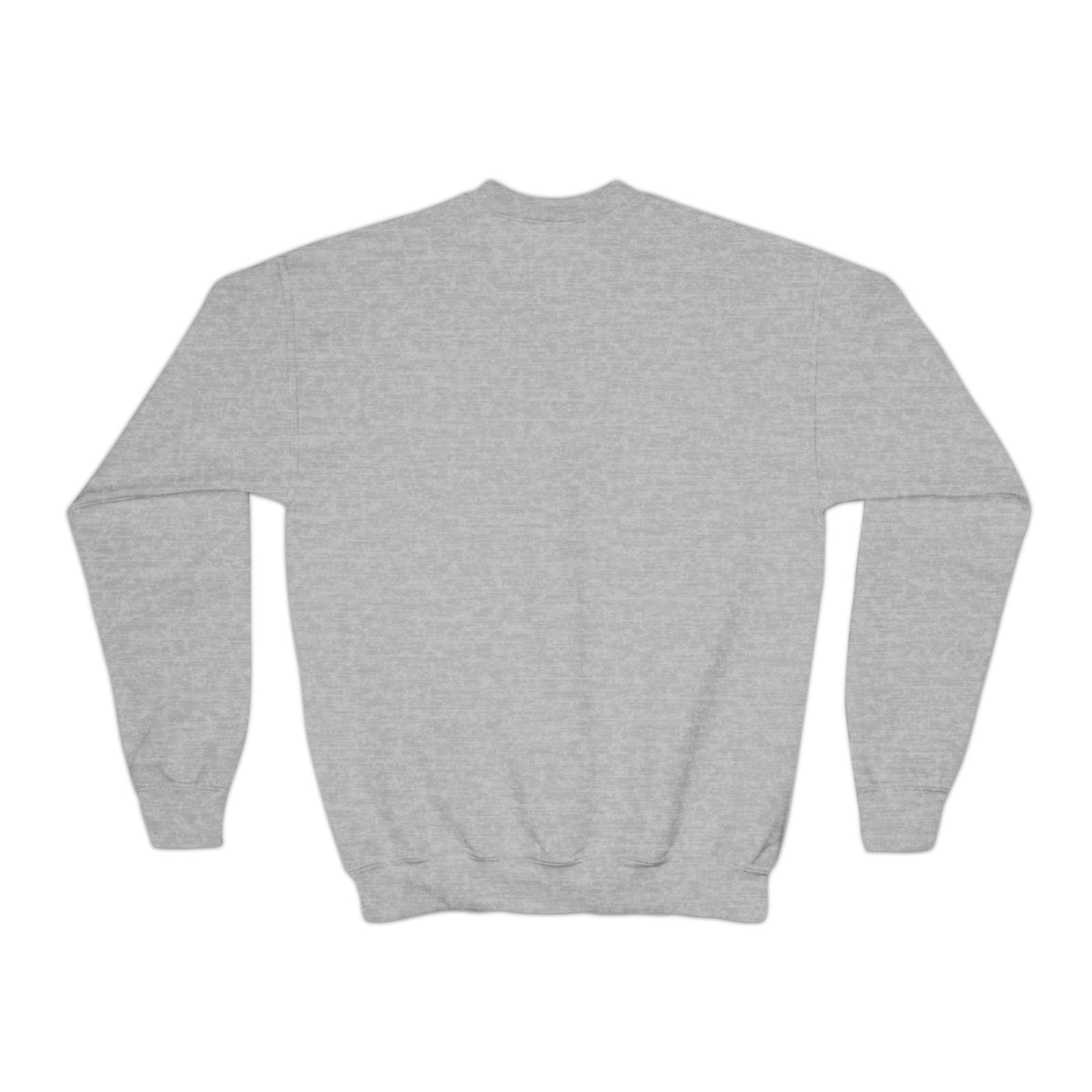 Sock Those Washers! Youth Crewneck Sweatshirt